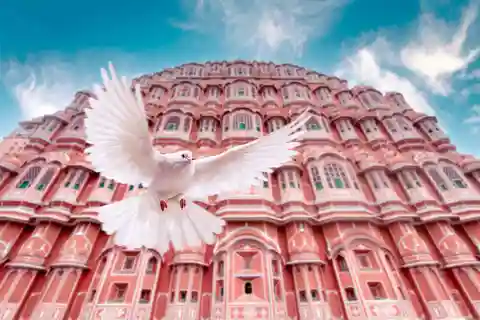From Jaipur: Private Amber Fort, Jal Mahal and More Car Tour