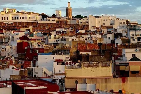 Da Tarifa a Tangeri: Escursione di un giorno con traghetto e giro in cammello