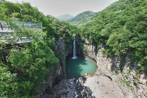 From Seoul: Autumn Instagrammable TourShared Tour, Meet at Myeongdong