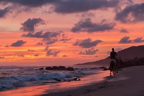 Zihuatanejo : Troncones, Manzanillo Bayband Majahua Beach Tour