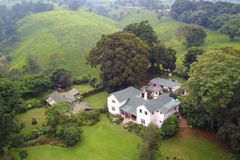 Nairobi: Kiambethu Tea Farm Guided Tour