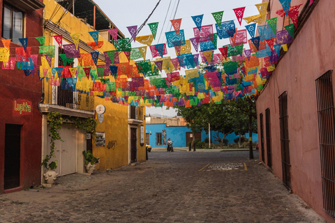 Private Oaxaca Historic Tour - Best Rated