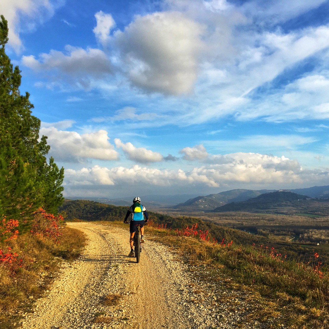 Motovun: Excursión en E-Bike por Istria GetYourGuide