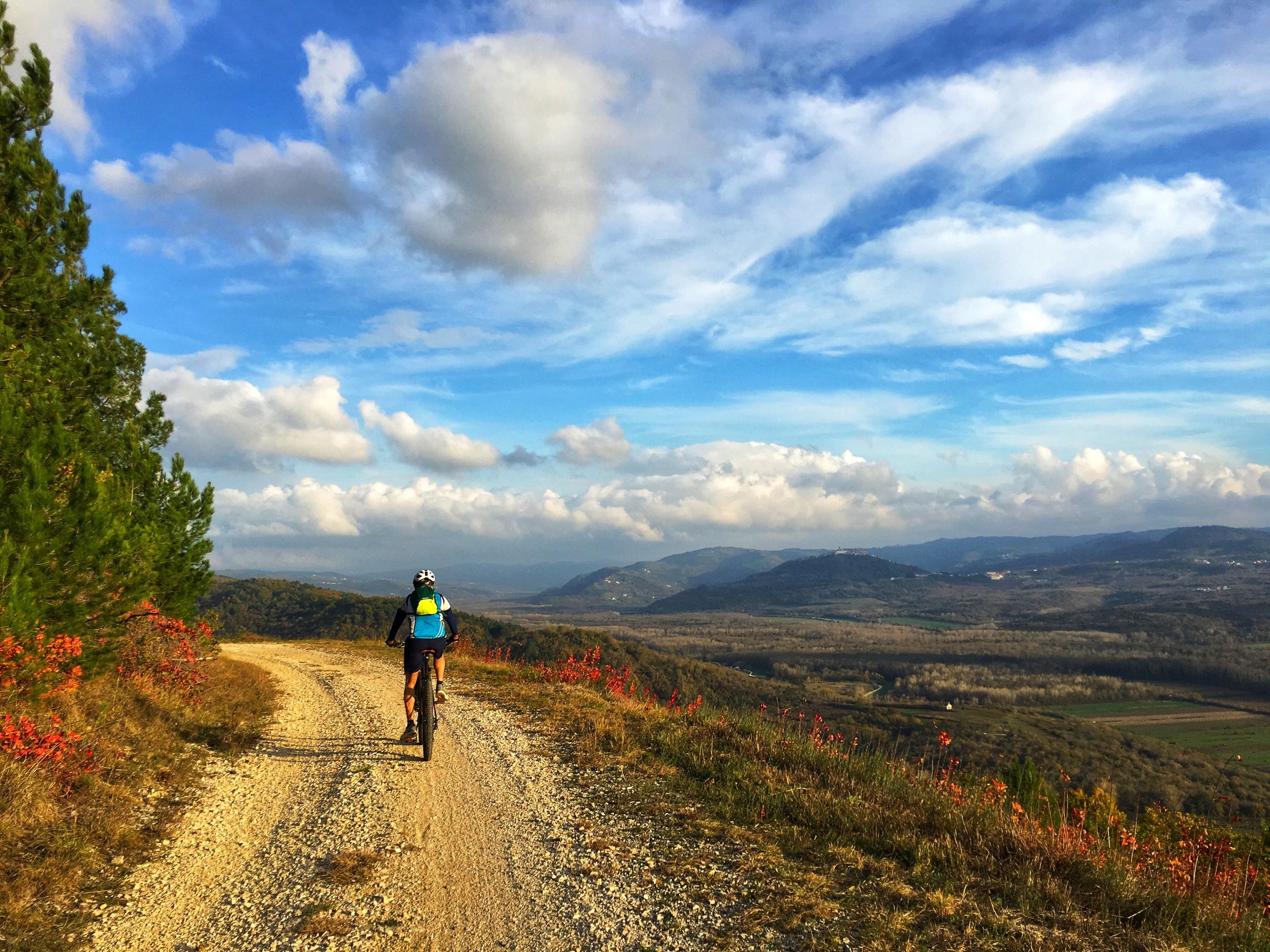 Motovun: E-Bike Tour in Istrien