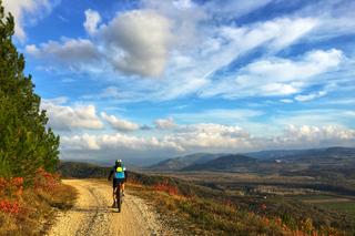 Motovun: E-Bike Tour in Istria