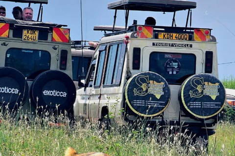 Nairobi National Park Half-Day Safari – Wildlife Game Drive