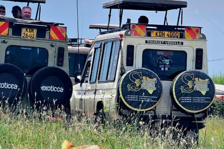 Nairobi National Park Half-Day Safari – Wildlife Game Drive