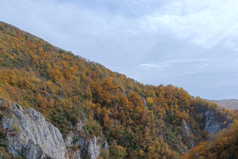 Brașov: Guided Gorge Hike, Caves, and Via Ferrata Adventure Brașov: Guided Hike and Caves