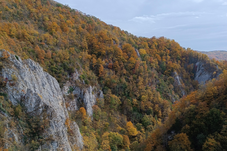 Brașov: Guided Gorge Hike, Caves, and Via Ferrata Adventure Brașov: Guided Hike and Caves