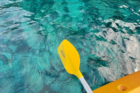 Funchal : Kayak et plongée en apnée dans la réserve naturelle de Garajau