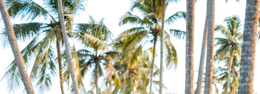 Saligao : Promenade dans le village de Saligao