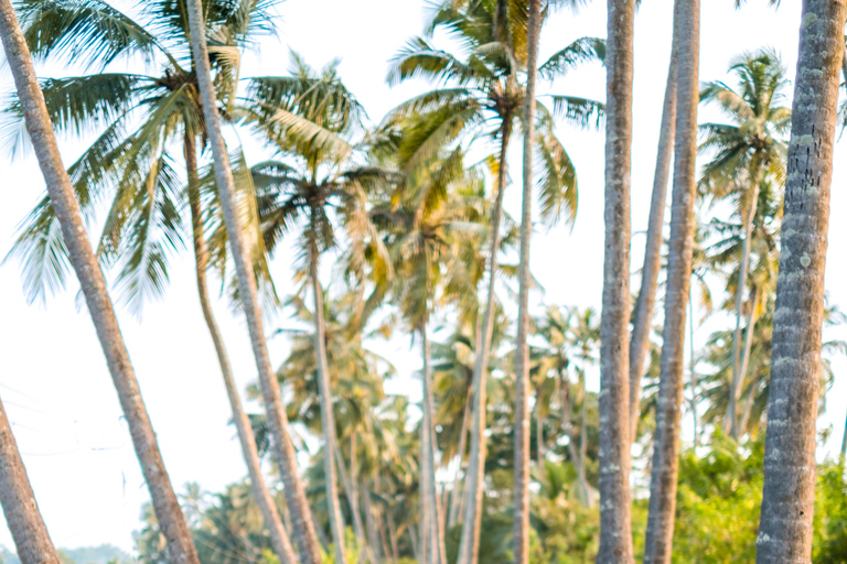 Saligao : Promenade dans le village de Saligao