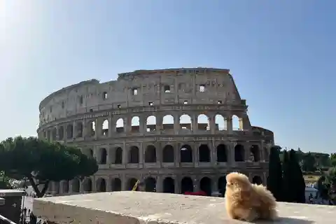 Visite privée d'une demi-journée au Vatican
