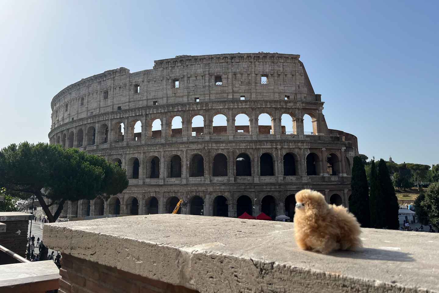 Частная полудневная экскурсия в Ватикан