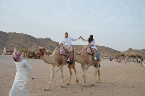 Hurghada: Camel Ride & horse ride and Off-Road Jeep Tour pickup from hotels inside hurghada