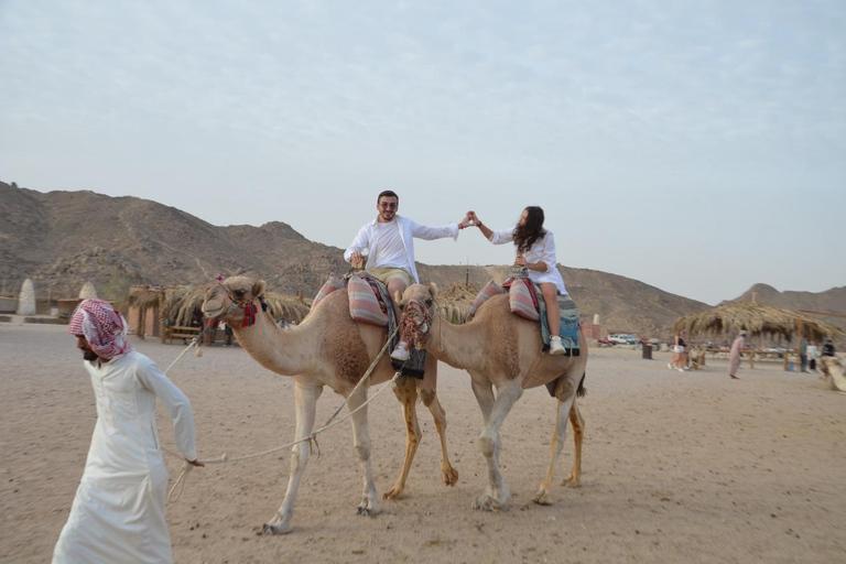 Hurghada: Camel Ride & horse ride and Off-Road Jeep Tour pickup from hotels inside hurghada
