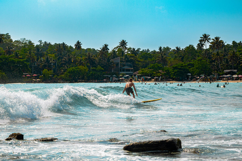 Epic South Coast Highlights From Colombo
