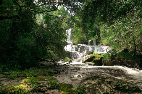 Vandring i Doi Inthanon nationalpark &amp; vandring på Pha Dok Siew Trail