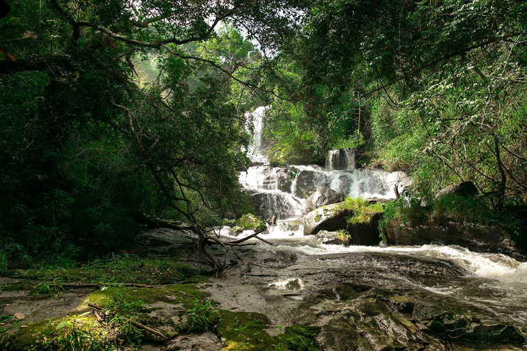 Randonnée dans le parc national de Doi Inthanon et randonnée sur le sentier de Pha Dok SiewVisite du parc national de Doi Inthanon et randonnée sur le sentier Pha Dok Siew