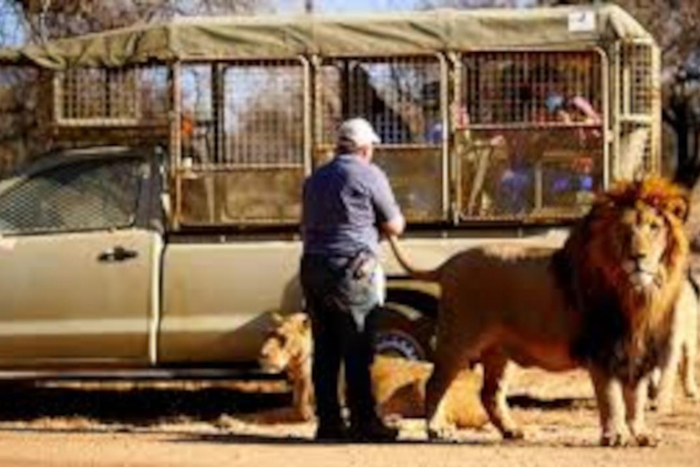 Johannesburg: Lion and Safari Park Open Voertuig Game Drive