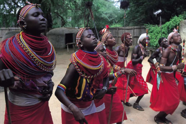 From Moshi: Maasai Village Tour with Lunch & Walking Safari