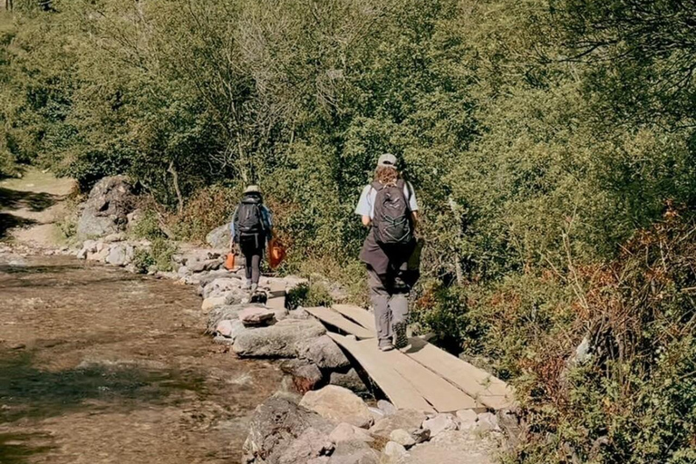 Yoga and Sound Therapy - Private session in the Sacred Valley Yoga and Sound Therapy - Private Session in the Sacred Valley