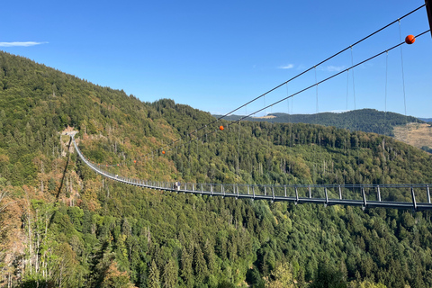 From Basel: Black Forest, Alsace & Colmar Private Day Trip