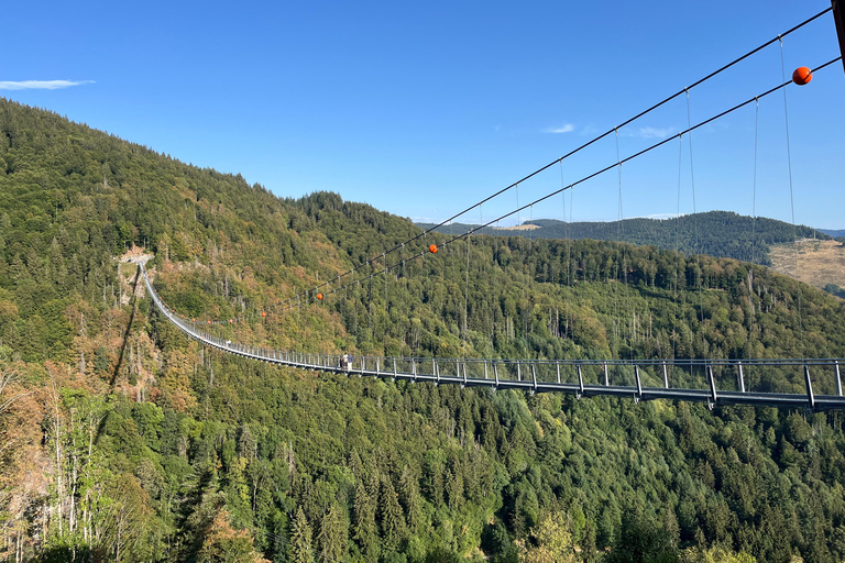 From Basel: Black Forest, Alsace & Colmar Private Day Trip