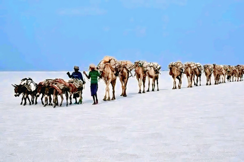 3-Day Danakil Volcano, Dallol & Salt Flats Tour