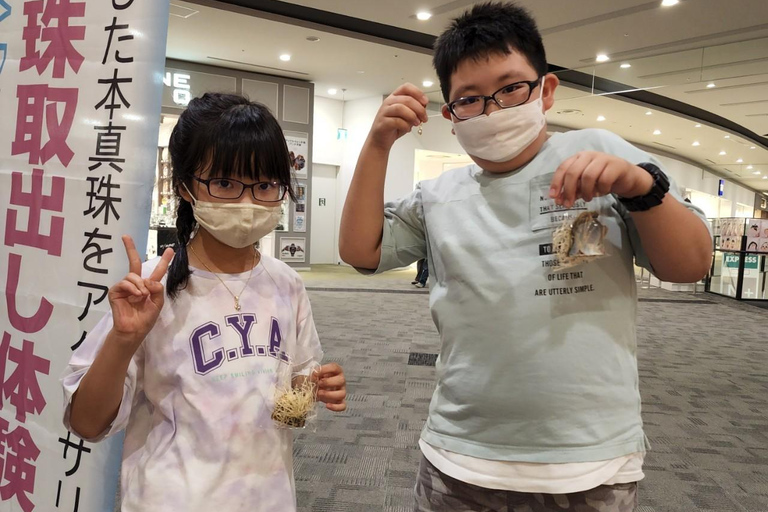 Osaka: Erfahrungen bei der Gewinnung von Perlen aus Akoya-AusternOosaka: Erfahrungen mit der Gewinnung von Perlen aus Akoya-Austern