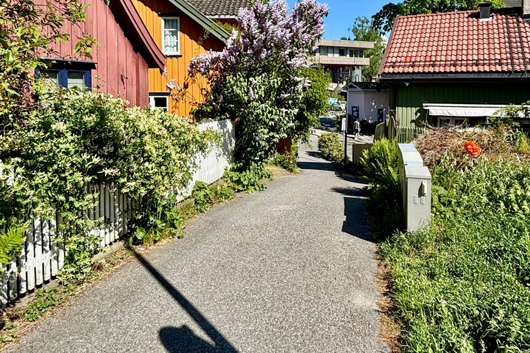 From Oslo: Drøbak and Oscarsborg Fortress Day Trip