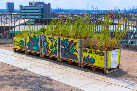 Hamburg: Walking tour of the Green Bunker in St. Pauli