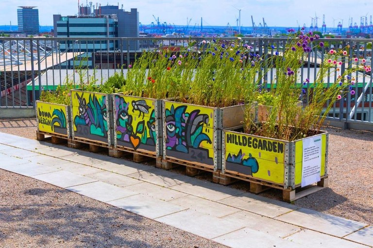 Hamburg: Walking tour of the Green Bunker in St. Pauli