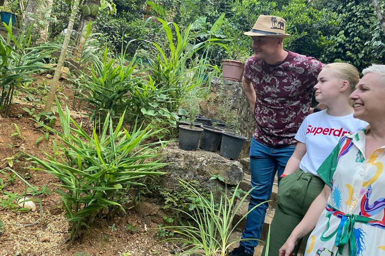 Ella : Corso di cucina con tour del giardino delle spezie