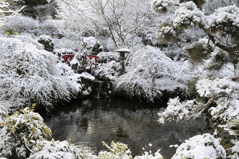 Victoria and Butchart Gardens Christmas Tour