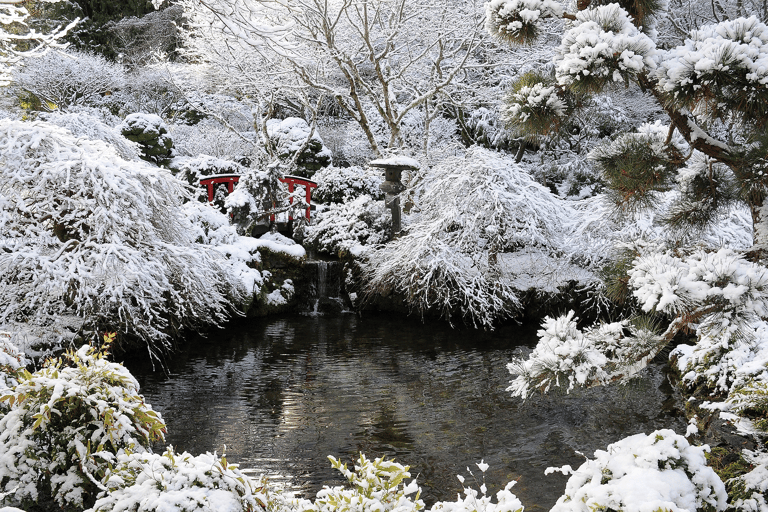 Victoria and Butchart Gardens Christmas Tour