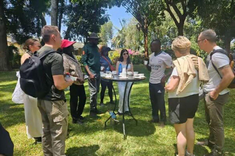 Kiambethu Tea Farm Tour with Lunch