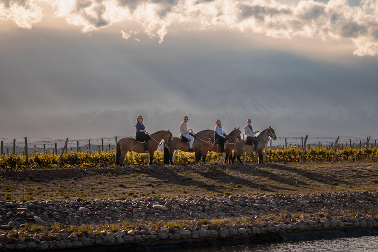 Sedona: Vineyard & Canyon Horseback Experience