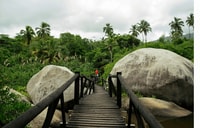 Tayrona Tour-圣胡安角角礁 - Housity
