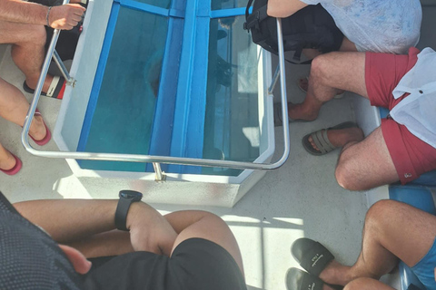 Zakynthos: Turtle Spotting, Marathonísi & Keri Caves Cruise