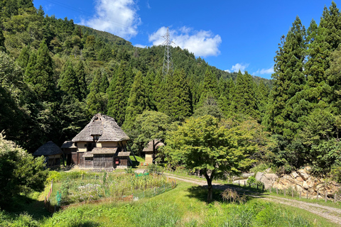 Kanazawa: Day Trip to Traditional Remote Mountain Village