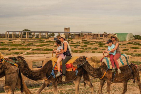 Marrakech: Agafay Desert Quad & Camel Rides with Dinner Show