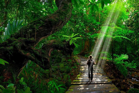 From Iquitos Amazonas 3 Days 2 Nights