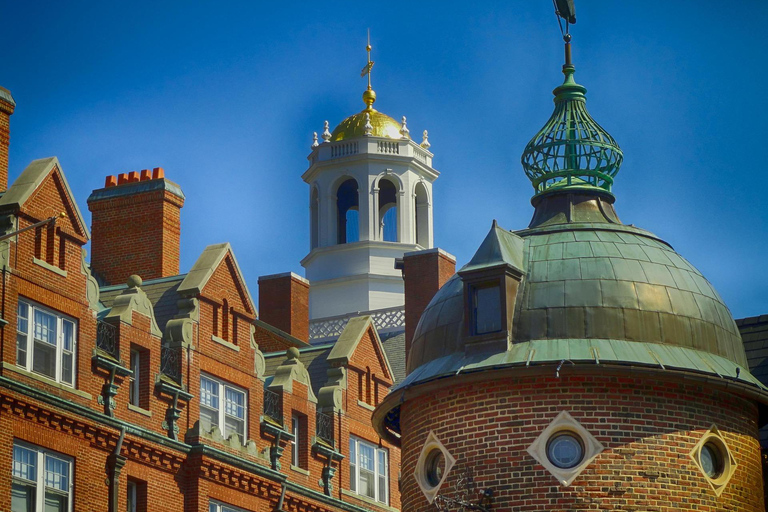 London: Cambridge-Newton to Nobel Prizes Guided Walking Tour