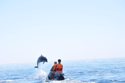 Djerba: Jet Ski Experience with Dolphin Sightings Djerba: Jet Ski Experience with Dolphin Sightings 30 min