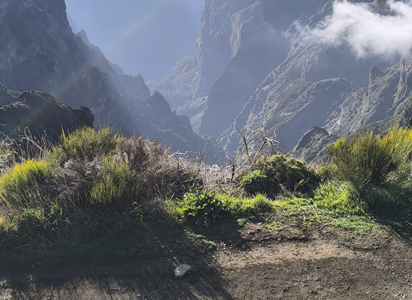 Madeira: Halvdagstur med jeep til Pico Arieiro