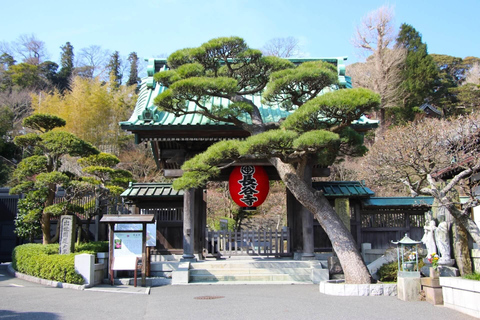 From Tokyo : Kamakura & Enoshima Island Private Day Trip