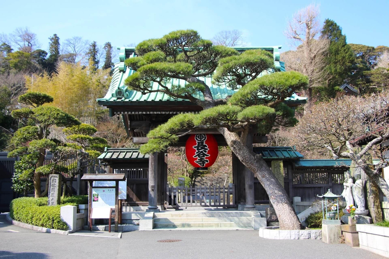 From Tokyo : Kamakura & Enoshima Island Private Day Trip