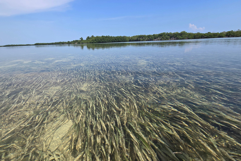 Key West: Private Guided Kayak Tour