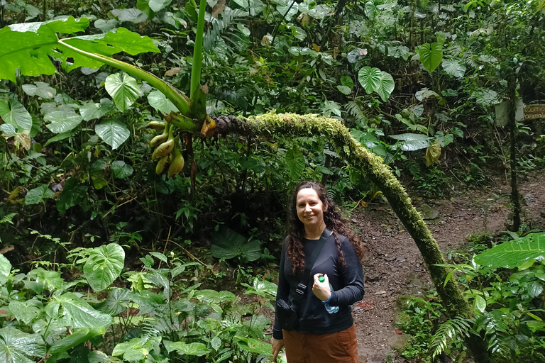 Quito: Private Full Day Tour with Flexible Destinations